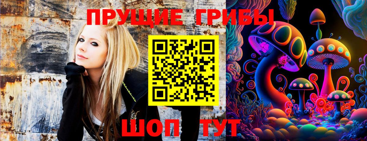 Псилоцибиновые грибы мицелий Зерноград
